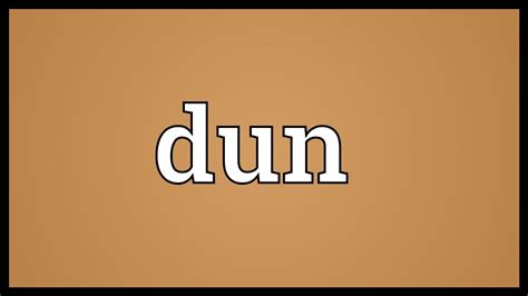 dünn synonym|another word for dun.